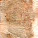 Laura Patton Photo 21