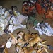 Sandra Cushman Photo 4