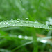 Deborah Blades Photo 14