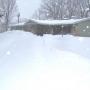 Debra Morrow Photo 34