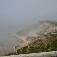 Dianne Brown Photo 19