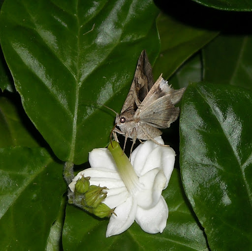 Shelley Porter Photo 29