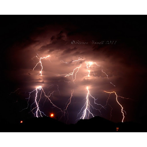 Steven Howell Photo 8