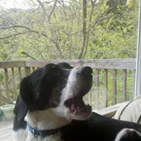 Deborah Belden Photo 12