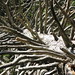 Elizabeth Wolfe Photo 14