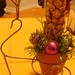 Martha Barba Photo 32