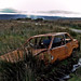 Clare Burns Photo 19