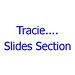 Tracie Lee Photo 14