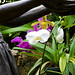 Elizabeth Saxton Photo 9