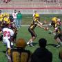 Jeffrey Hamilton Photo 48