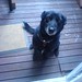 Jessie Fudge Photo 14