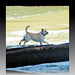 Barbara Vincent Photo 15