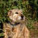 Willard Summers Photo 4