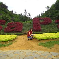 Thanh Thai Photo 34