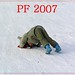 Lisa Vesely Photo 1