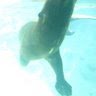 Allison Dean Photo 17