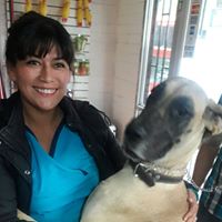 Andrea Reyes Photo 44