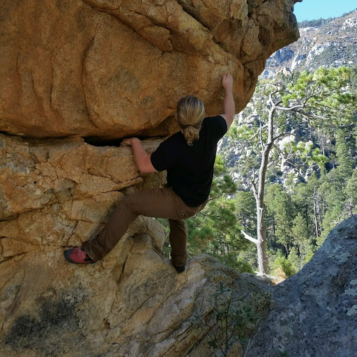 Michael Gard Photo 8