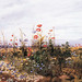 Andrew Nicholls Photo 19