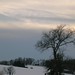 Lloyd Tanner Photo 9