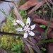 Nancy Salter Photo 26