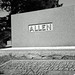 Forrest Allen Photo 17