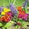 Judy Staley Photo 25