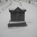 Timothy Graves Photo 21