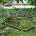 Paula Harmon Photo 11