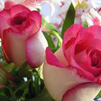 Mohammad Nazir Photo 12