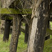 Jerry Bridges Photo 15
