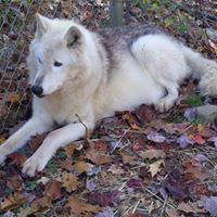 Anne Mccullough Photo 27