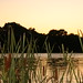 Greg Garrison Photo 25