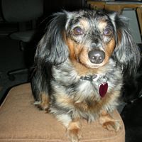 Susan Worsham Photo 6