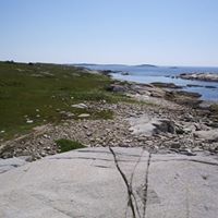 Mark Oddy Photo 11