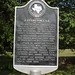 Cynthia Parker Photo 16