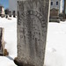 Charles Billings Photo 17