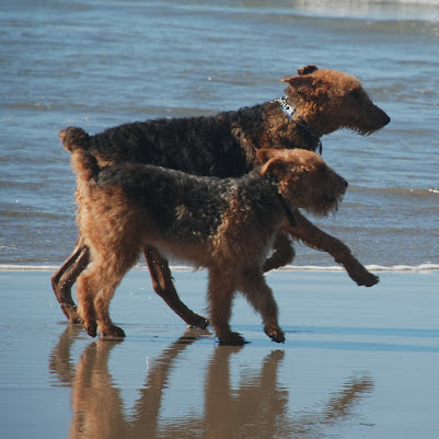 Susan Wheatley Photo 31