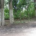 Dolores Rivas Photo 16