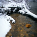 Tyler Winters Photo 10