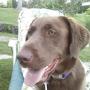 Julie Doyle Photo 8