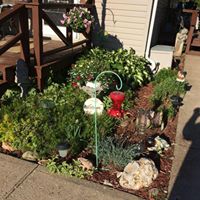 Julie Musser Photo 7