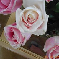 Catherine Ford Photo 35
