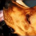 Benny Summers Photo 7