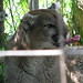 Rita Bergeron Photo 8
