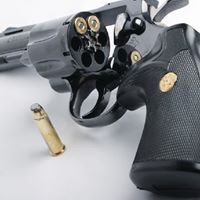 Anand Patel Photo 38