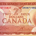 Elizabeth Dollar Photo 9