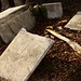James Mcguire Photo 39
