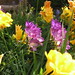 Antonia Flowers Photo 8