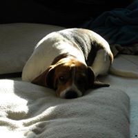 Peggy Hendrick Photo 4